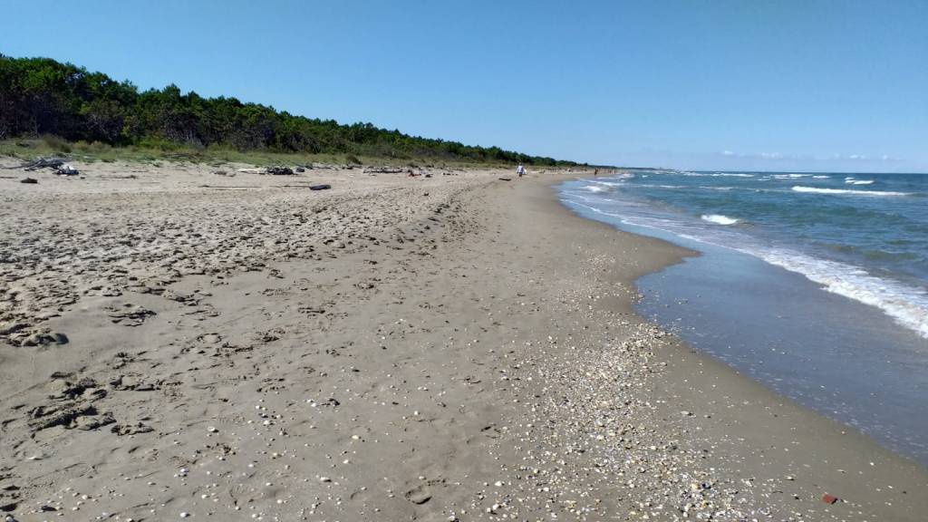 L'immagine attuale non ha un testo alternativo. Il nome del file è: 6b7cfe52-c241-4d3a-9e35-ffa9c5209fd5-1.jpg